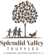 Splendid Valley Truffles